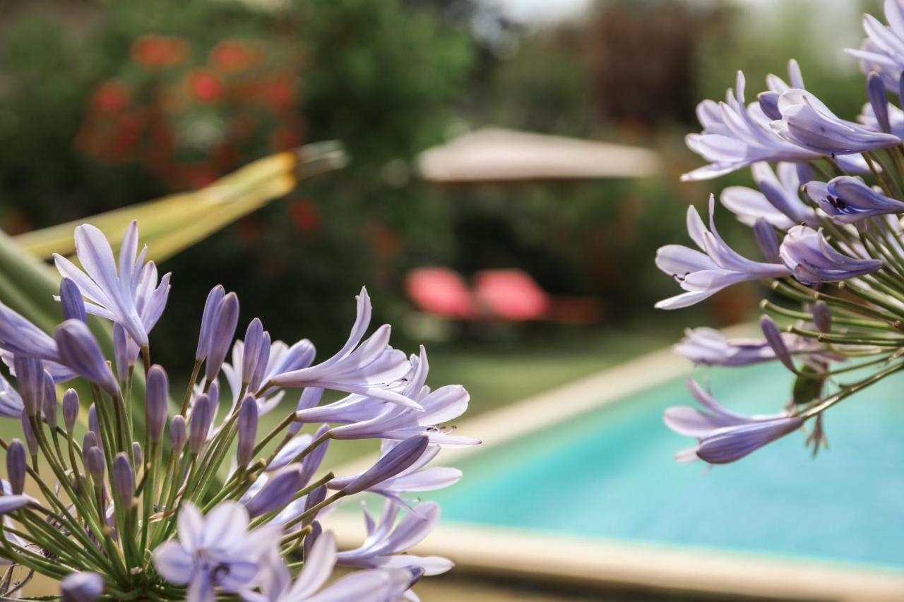 Gite Mon Paradis Vallon-Pont-d'Arc Ngoại thất bức ảnh